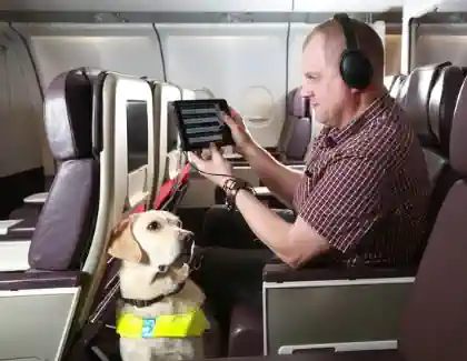 ciegoperroavion Persona no vidente con tablet y perrro de asisitencia en avion
